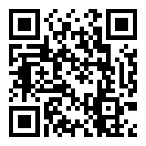 Door Kickers破门者