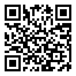 驾驶拉达XRAY模拟器