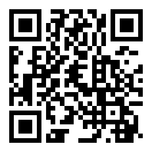 拳击格斗者rom