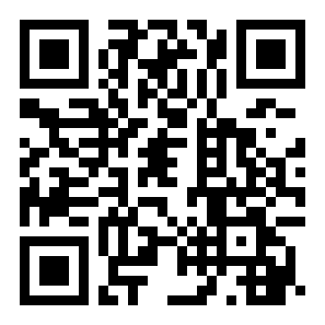 双截龙2roms