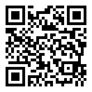 拳击格斗者rom