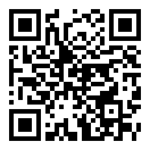 脑叶公司中文手机版
