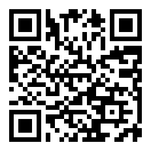 RCC真实车祸1.0.5版手游