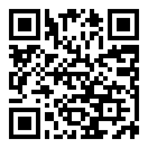 2048军旗