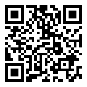 索尼克狂欢plus