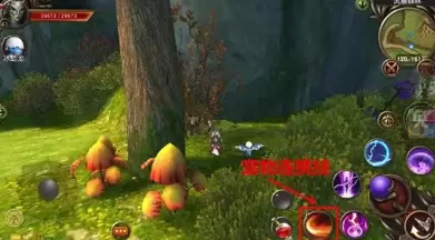 魔龙世界骑宠系统玩法攻略