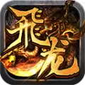 飞龙传