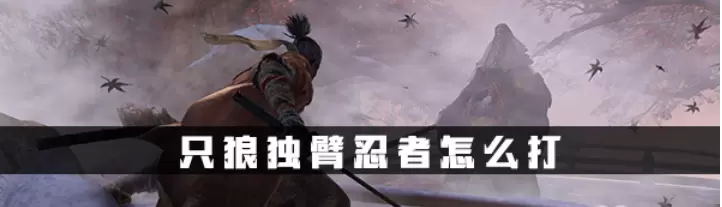 只狼独臂忍者打法技巧分享