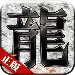 龙劫极品