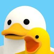 Save Ducks