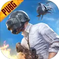 pubglite