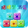 猪猪消消乐