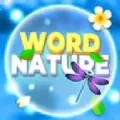 大自然的字谜