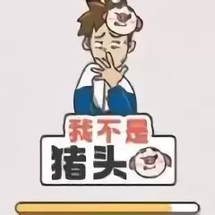 我不是猪头游戏
