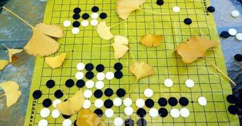 欢乐围棋游戏合集