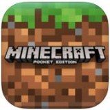 我的世界旧版1.1