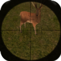 nice hunter