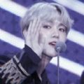 偏执无罪