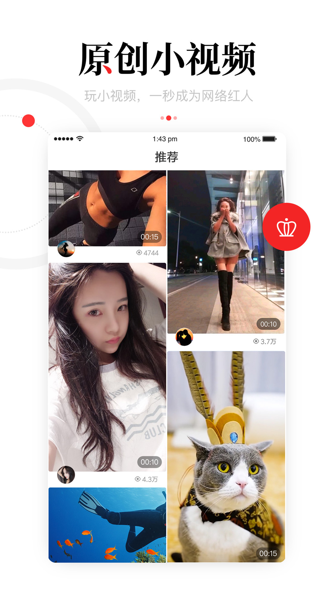 向日葵图1