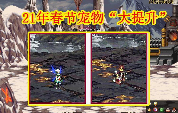 DNF：21年春节宠物“大提升”，1~80技能+1，史派克全力割韭菜