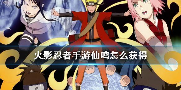 火影忍者手游仙鸣怎么获得 仙鸣免费领取详情介绍
