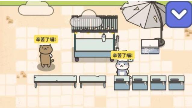 网红奶茶店兑换码礼包码分享