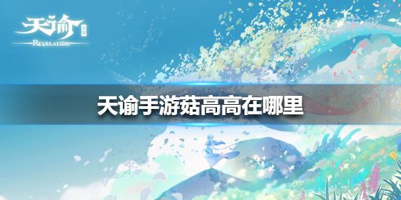 天谕手游菇高高在哪里 菇高高位置介绍