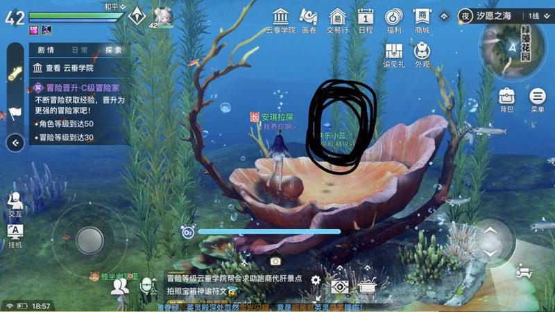 天谕手游水母之梦攻略大全，水母之梦攻略汇总