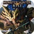 MONSTER HUNTER RISE