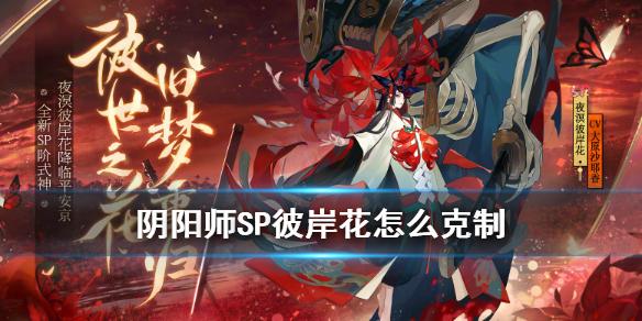 阴阳师SP彼岸花怎么克制 克制SP彼岸花斗技阵容推荐