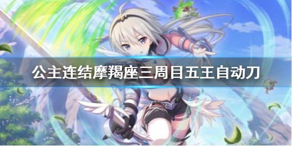 公主连结摩羯座三周目五王自动刀 C5狼T智忍自动刀推荐