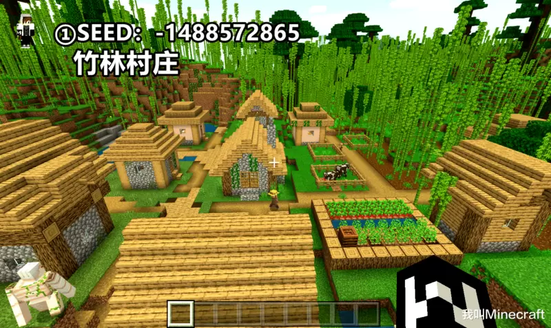 这是什么罕见村庄？我的世界：1月精选，基岩版最佳的5个种子！