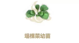 妄想山海塌颗菜幼苗制作方法