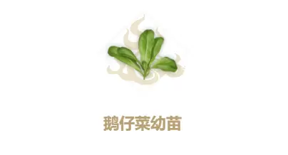 妄想山海鹅仔菜幼苗制作方法