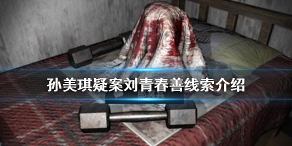 孙美琪疑案刘青春善线索在哪 善线索介绍