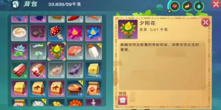 创造与魔法夕阳花在哪里获得