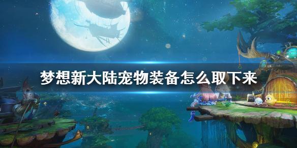 梦想新大陆宠物装备怎么取下来 宠物装备拿下方法
