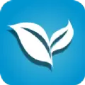 叶子影视tv