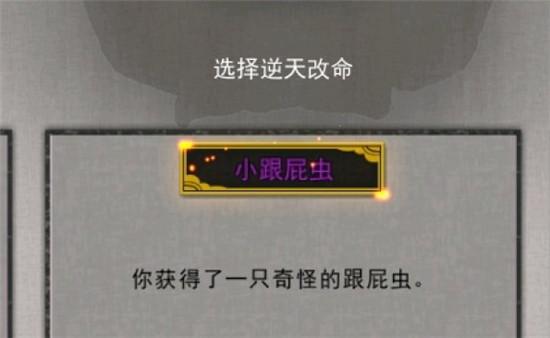 鬼谷八荒小跟屁虫作用介绍