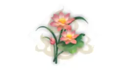 妄想山海芙蓉花束制作方法