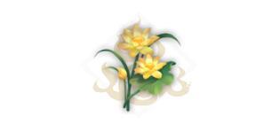 妄想山海白芙蓉花束制作方法