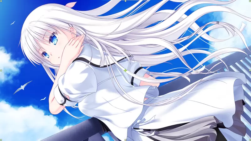 夏日口袋《Summer Pockets REFLECTION BLUE》 鸣濑白羽线攻略+CG合集