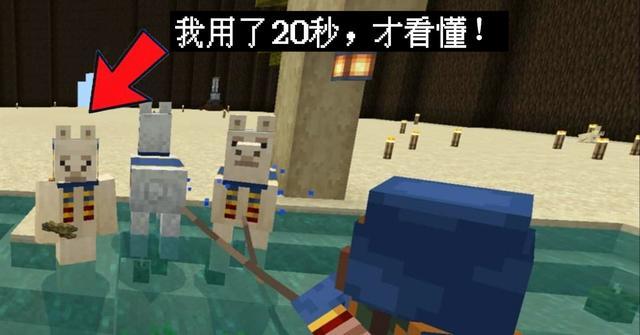 “我用了20秒，才看懂这张图！”我的世界：11个视觉错觉画面