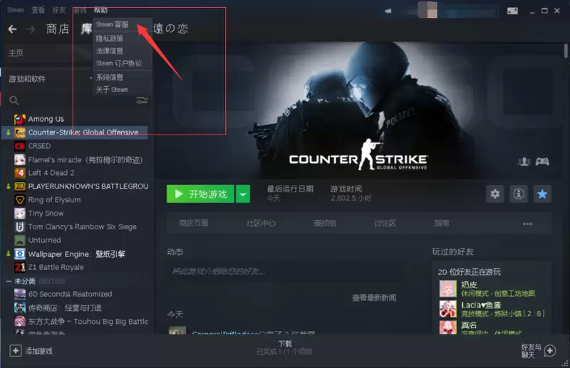 CSGO新手指南：国服和国际服介绍（区服切换，名字变成数字）