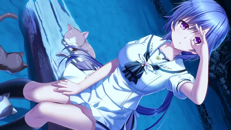 夏日口袋《Summer Pockets REFLECTION BLUE》 水织 静久线攻略+CG合集