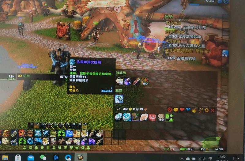 【魔兽世界】【迅捷幽灵虎】               \n    一发入魂