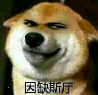 废墟图书馆的看下