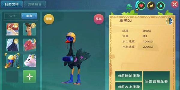 创造与魔法至黑DJ抓取方法、饲料、位置、属性汇总