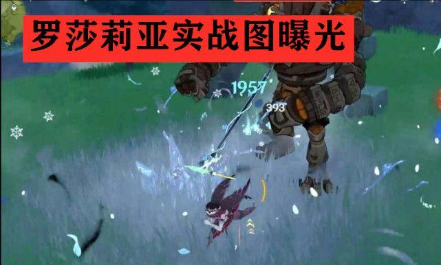 1.4活动爆料，温迪复刻确定，罗莎莉亚实测图流出。