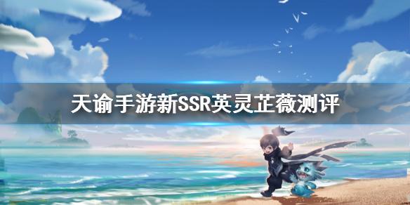 天谕手游芷薇强度分析 新SSR英灵芷薇怎么样